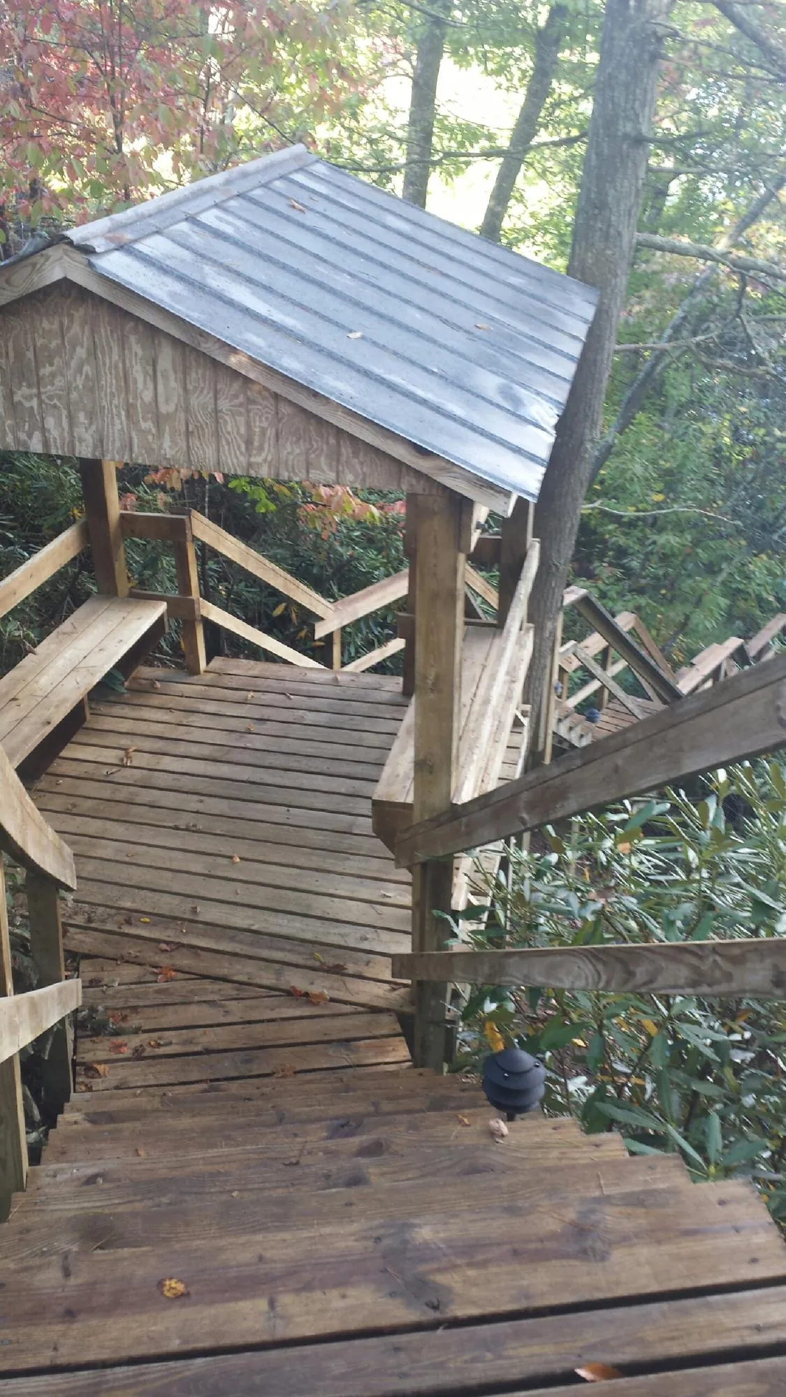 Metal roofed shelter over wooden steps on a wooded walkway — Skylight Repair & Installation work by our crew in Gold Hill